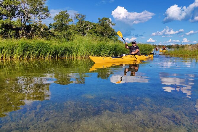 1-Day Small-Group Stockholm Archipelago Kayak Tour - Guide quality and the feel of the day