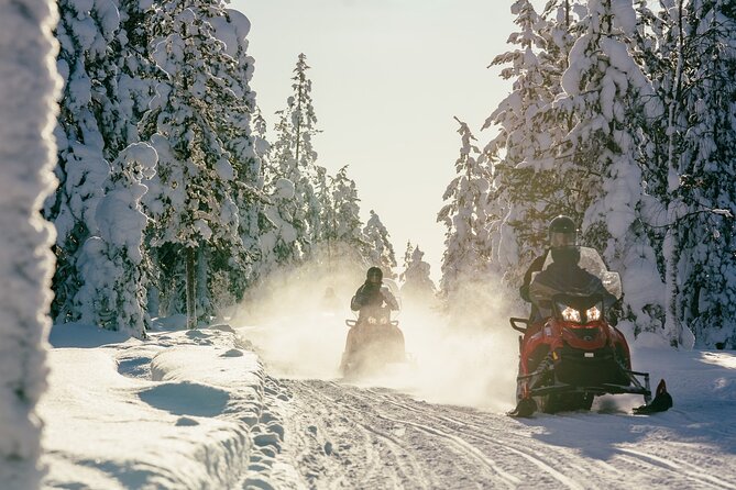 1 Hour Easy Snowmobile Safari in Levi - How the guide affects the experience