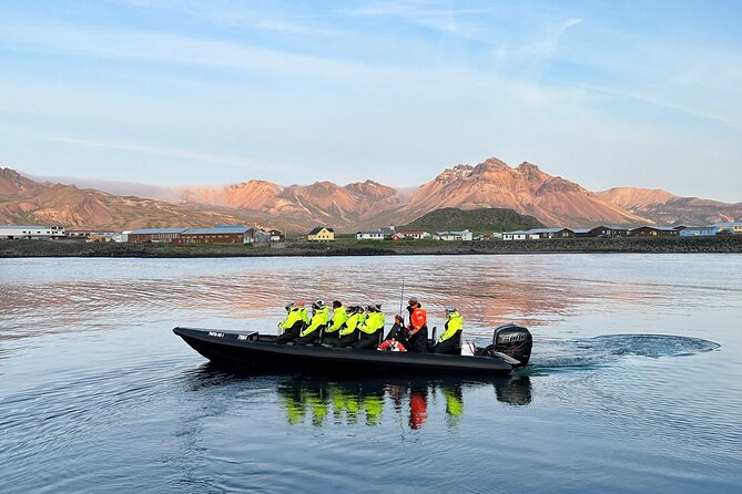 1 Hour Iceland Nature and Wildlife RIB Small Group Guided Safari - The value of a $160 one-hour experience