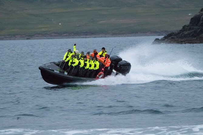 1 Hour Iceland Nature and Wildlife RIB Small Group Guided Safari - Comfort, boarding, and weather limits