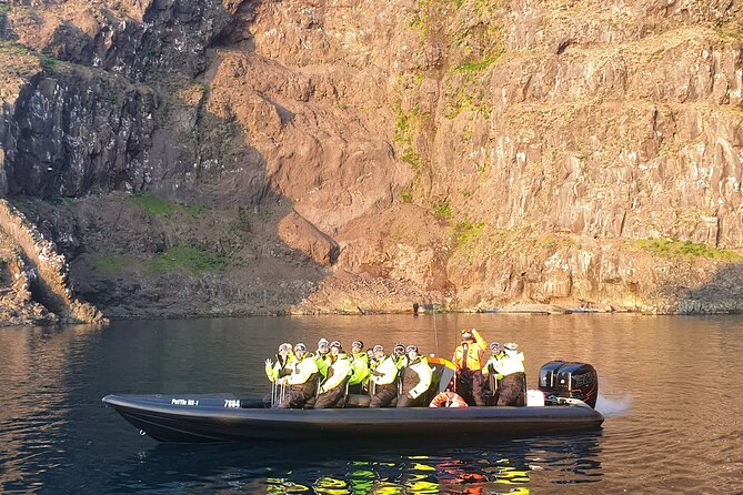 1 Hour Iceland Nature and Wildlife RIB Small Group Guided Safari - Why a RIB makes a difference here