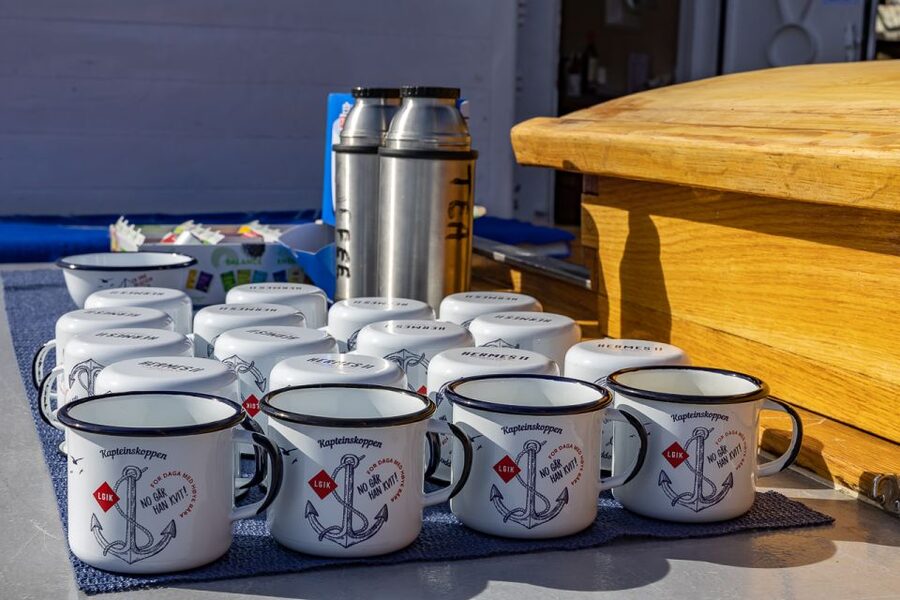 1 Hour Photo & History Cruise - Deck photos, heated seats, and Arctic weather