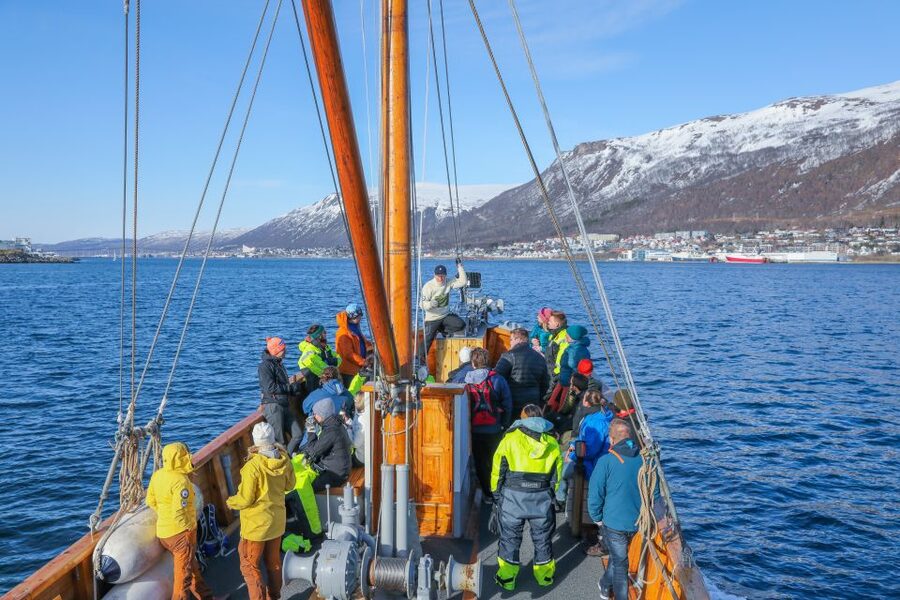 1 Hour Photo & History Cruise - Starting near Tromsø’s center