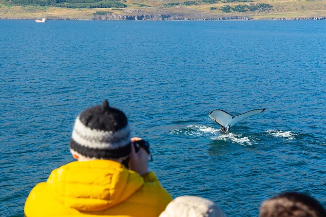 100% Whale Watching - Warm suits, hot drinks, and the cold-weather reality