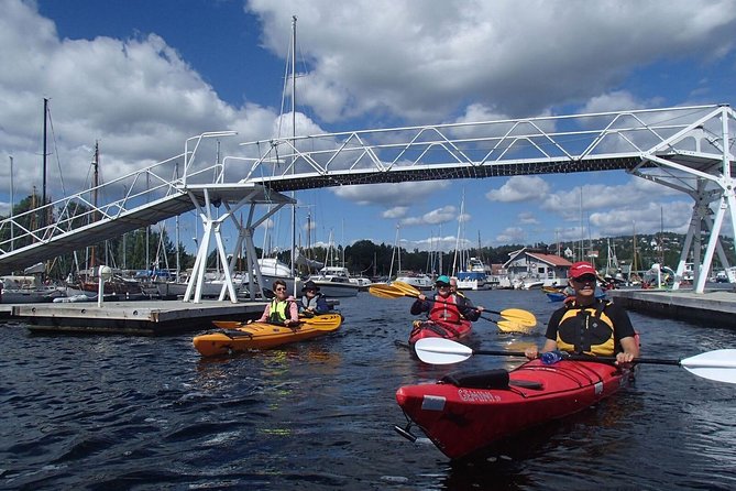 2- hour kayak trip on the Oslo Fjord - Who should book this Oslofjord tour?