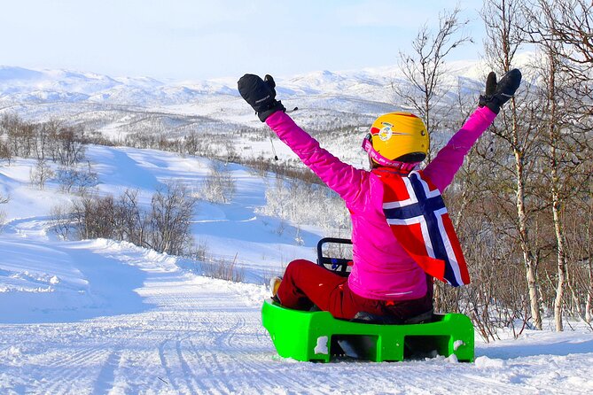 2-Hour Racing Toboggan at Dagali Fjellpark near Geilo in Norway - Is $55.25 a fair price?