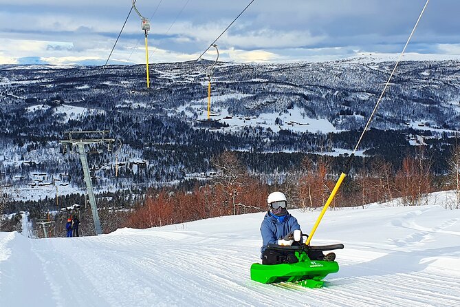 2-Hour Racing Toboggan at Dagali Fjellpark near Geilo in Norway - Getting there and planning your visit
