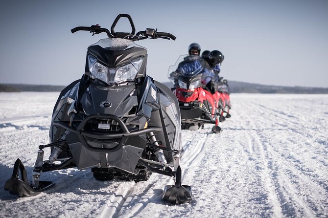 2 Hours Snowmobile Safari to the Levi Nature - What the 149.64 dollar price really covers