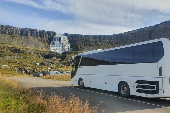 3,5-Hour Sightseeing Tour To Dynjandi Waterfall - Group size and the port-day rhythm