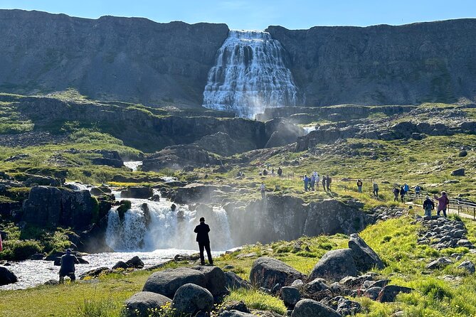 3,5-Hour Sightseeing Tour To Dynjandi Waterfall - Who should book this excursion?