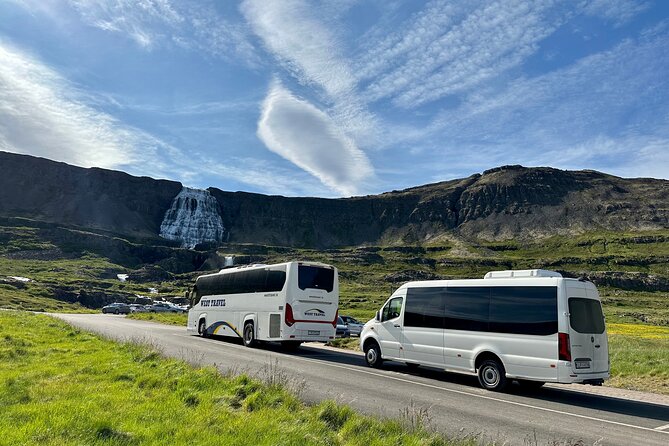 3,5-Hour Sightseeing Tour To Dynjandi Waterfall - Your 90 minutes at Dynjandi
