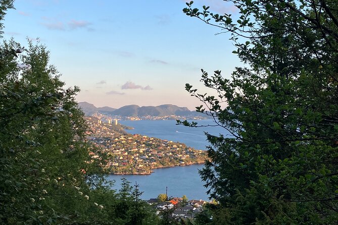 3-Hour Private Norwegian Hiking Experience with Local Guide - Pickup, timing, and the private format