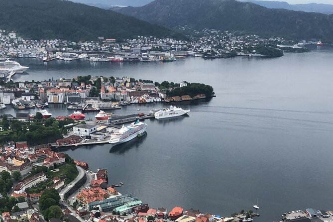 3-Hour Private Tour Hiked through the Bergen Mountains - Who should book this Mount Fløyen tour?
