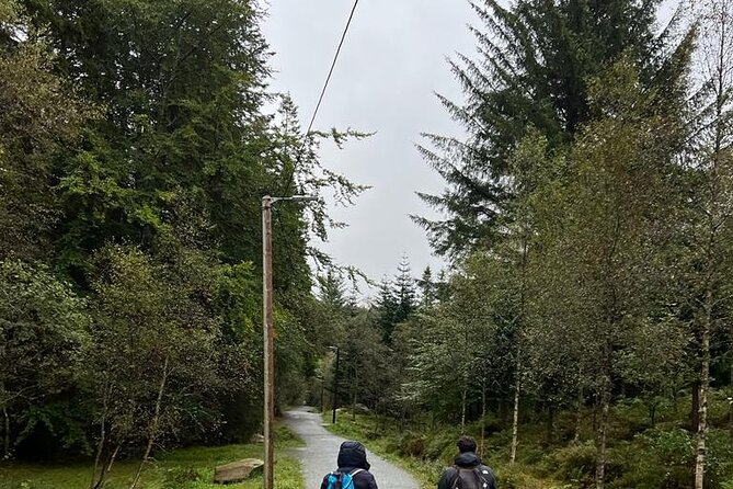 3-Hour Private Tour Hiked through the Bergen Mountains - The funicular ride sets up the hike
