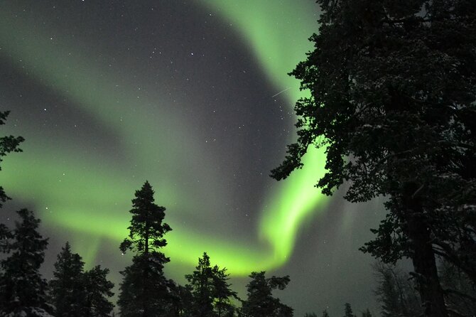 3-Hour Snowmobile Safari to Search Northern Lights in Levi - Should you book the Levi snowmobile aurora safari?