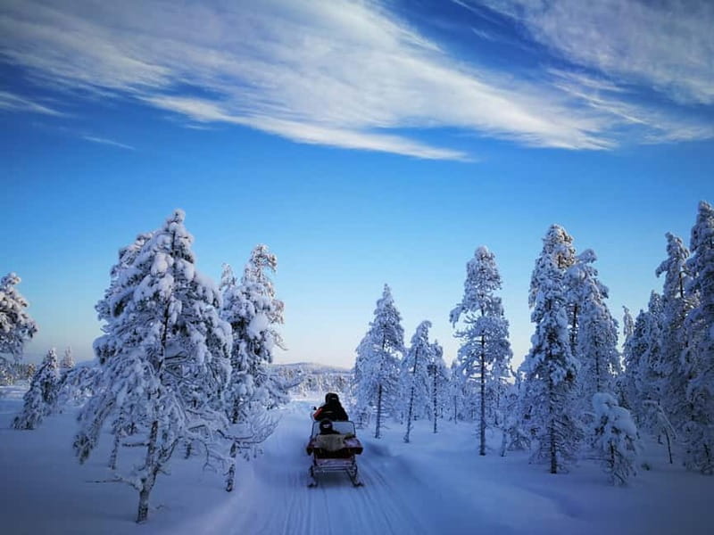 3-hour snowmobiling adventure in Levi - Pine trees, snow trails, and the first photo stops
