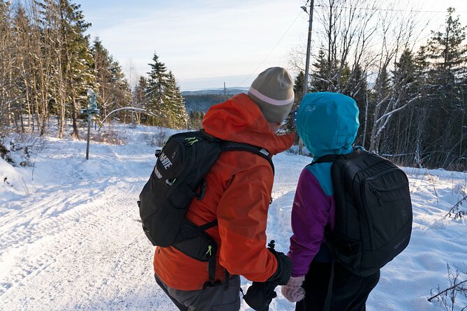 4 hours Best View of the Oslofjord Winter Edition - The cabin stop and Norwegian outdoor culture