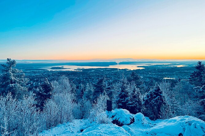 4 hours Best View of the Oslofjord Winter Edition - Walking through the snowy forest to Fuglemyrhytta