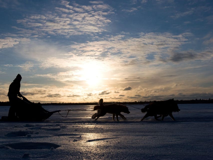 4hr Dog Sledding Trip on Finnmarksvidda - Warming up at historic Gargia Lodge