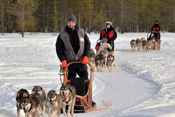 5KM Husky Sled Ride from Levi - Is the $234.98 price fair?