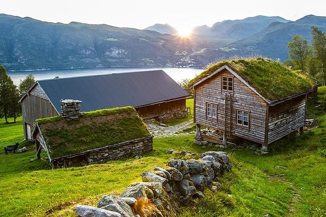 6 Day Fjord Kayaking Trip Norway - Guides, safety, and changing conditions