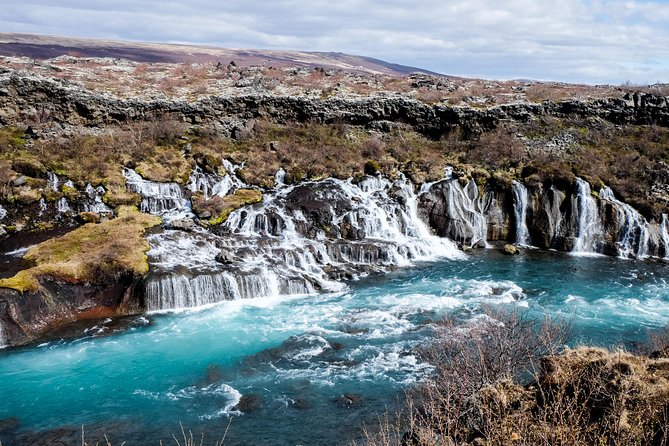 8-Day Small Group Tour Around Iceland from Reykjavik - Day 4: East Fjords, horses, and a choice of hot water