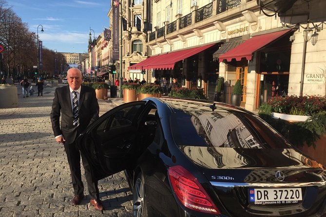 8 hours Full-Day Exclusive Oslo Tailormade Guided Limo Tour - Frognerseteren for cake, lunch, and a change of pace