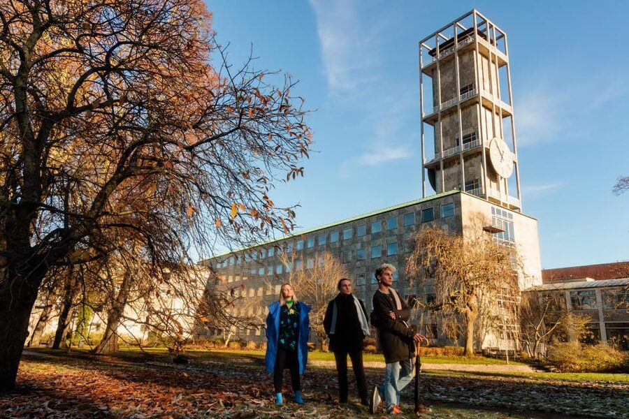 Aarhus Walking Tour: From Viking Village to Metropolis - Who will get the most from this tour?