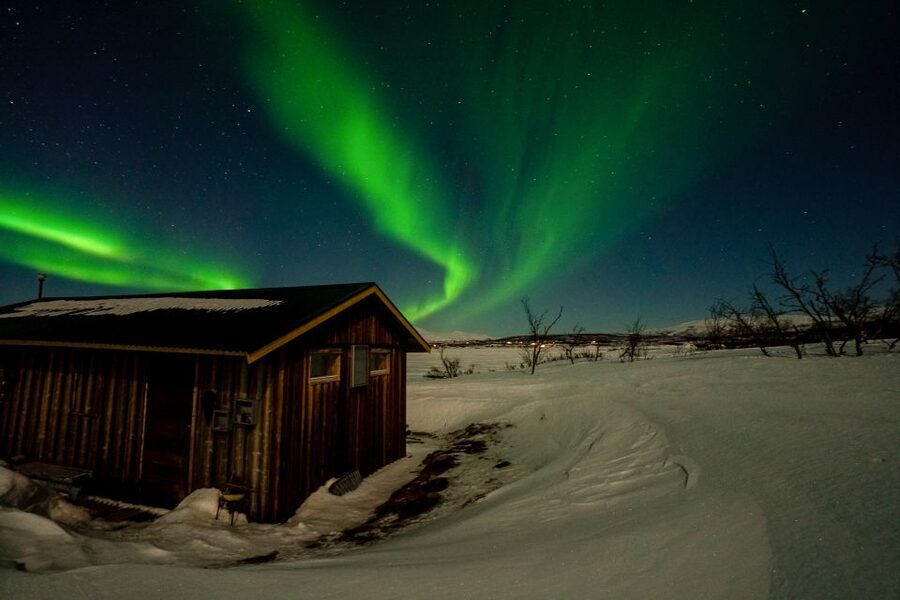 Abisko: Aurora Snowshoeing - Key points to know before you book