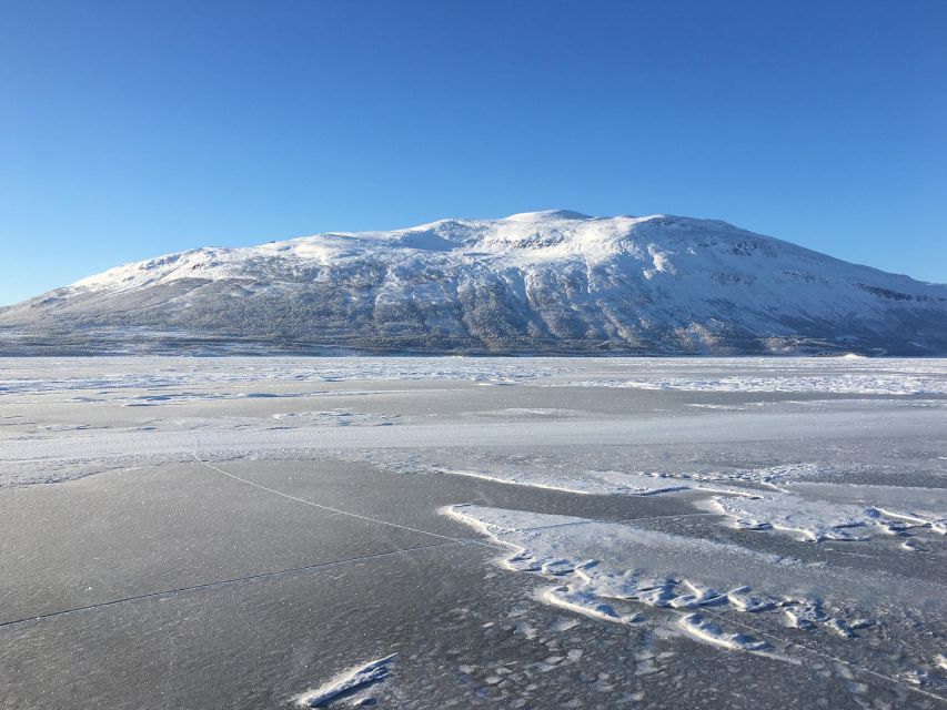 Abisko: Lake Torneträsk Arctic Ice Fishing Trip - Key points before you book