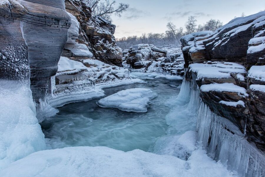 Abisko National Park: Scenic Morning Hike with Transfer - Wildlife is a possibility, not the whole promise