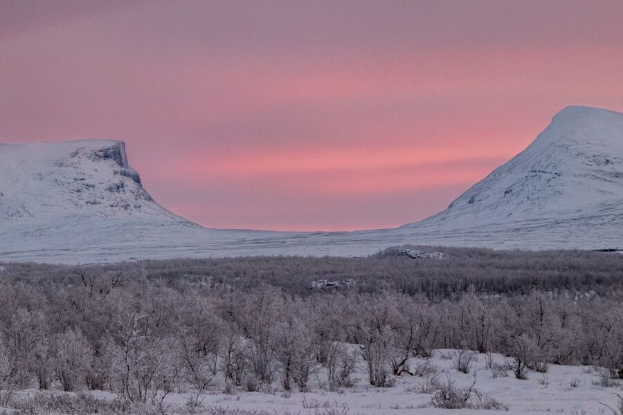 Abisko National Park: Scenic Morning Hike with Transfer - Is $88 a fair price for two hours?