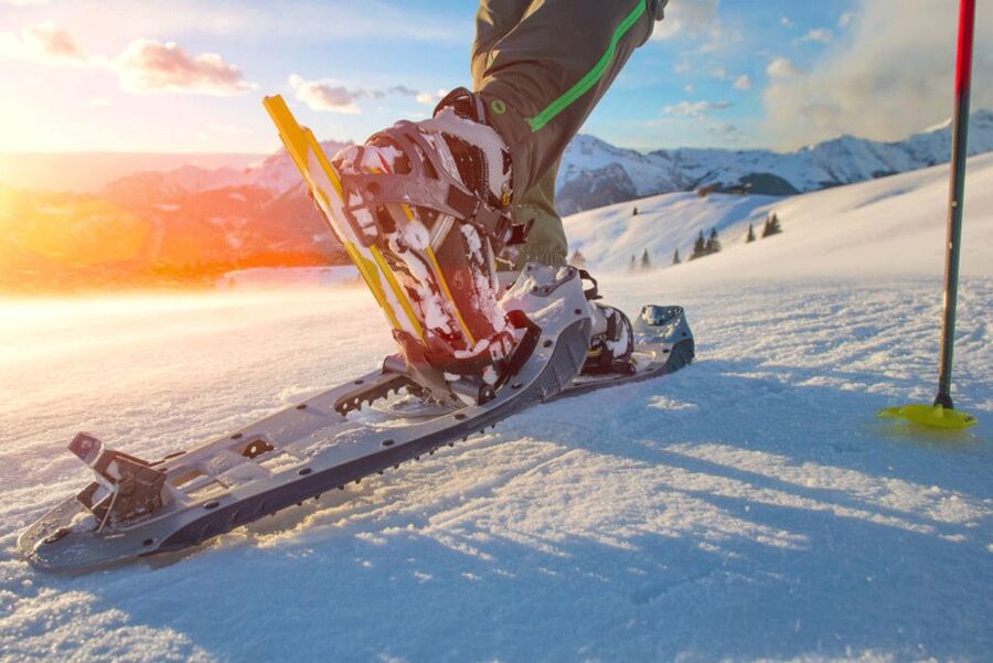 Abisko: Wilderness Snowshoe Hike - Key points to know before you book