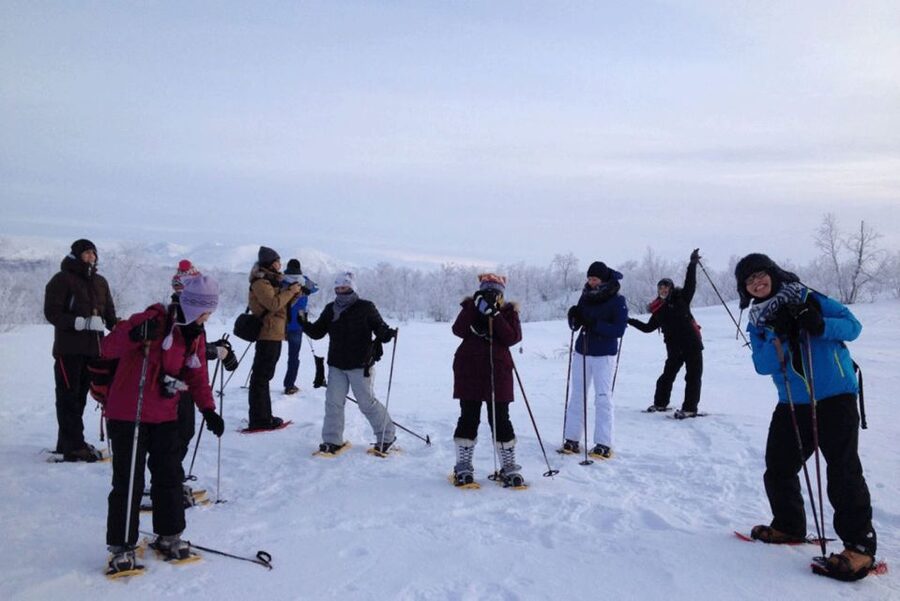 Abisko: Wilderness Snowshoe Hike - What the forest walk feels like