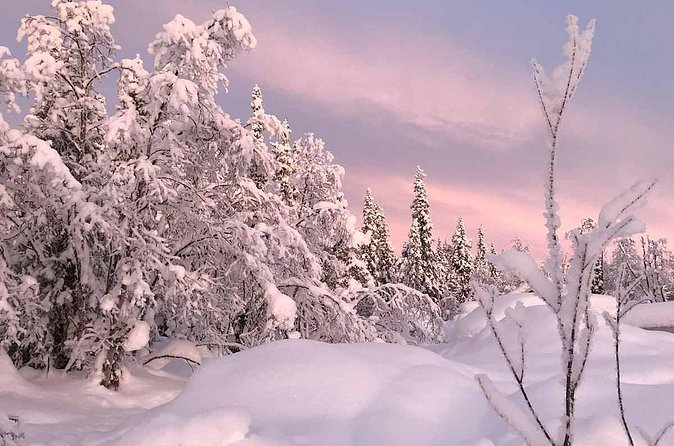 Afternoon Snowmobile Tour - How the guides shape the experience