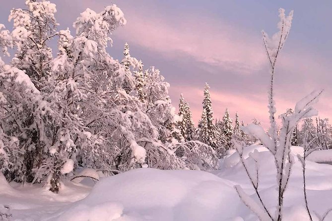 Afternoon Snowmobile Tour - Is the $178.32 price fair?