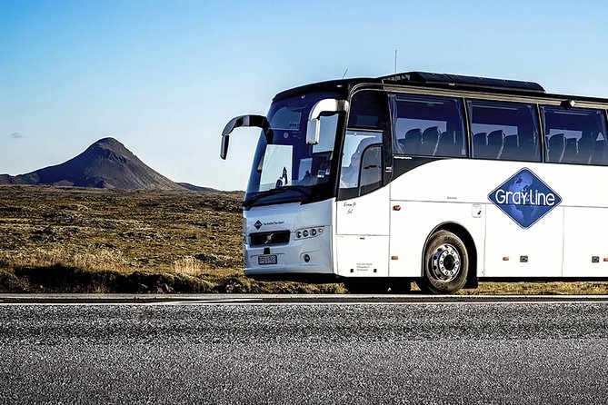 Airport Express Shared Departure Transfer from Reykjavik Hotels to Keflavik Airport - Why the shared format can save money