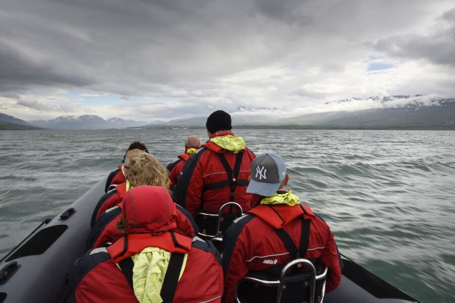 Akureyri: 2-Hour Whale Watching Express by RIB Speedboat - Practical details before you reserve