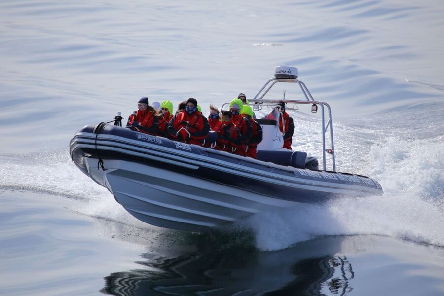 Akureyri: 2-Hour Whale Watching Express by RIB Speedboat - The close-view advantage
