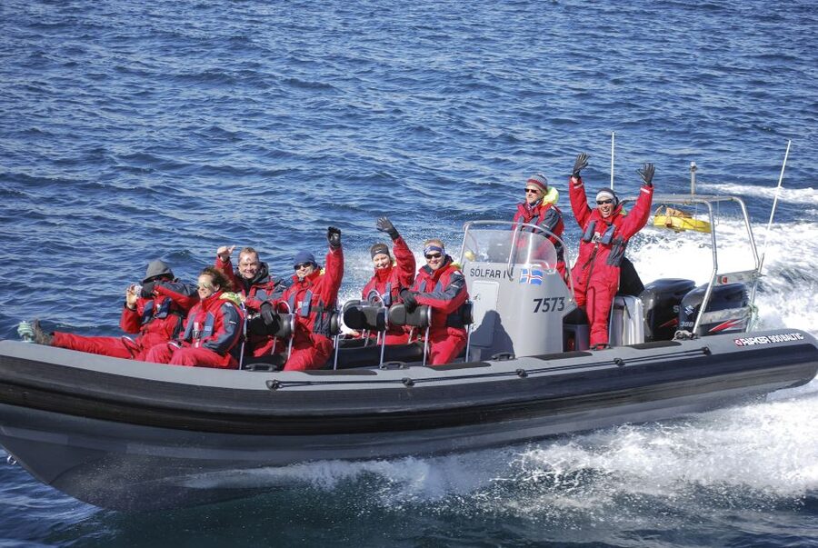 Akureyri: 2-Hour Whale Watching Express by RIB Speedboat - The guide adds more than whale names