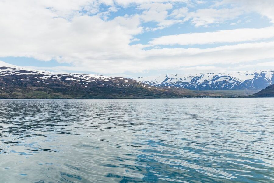 Akureyri: 3-Hour Classic Whale Watching Tour by Ship - FAQ