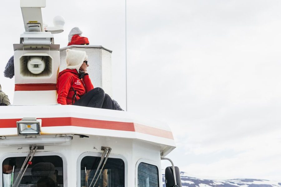 Akureyri: 3-Hour Classic Whale Watching Tour by Ship - Warm cabins, hot drinks, and practical comfort