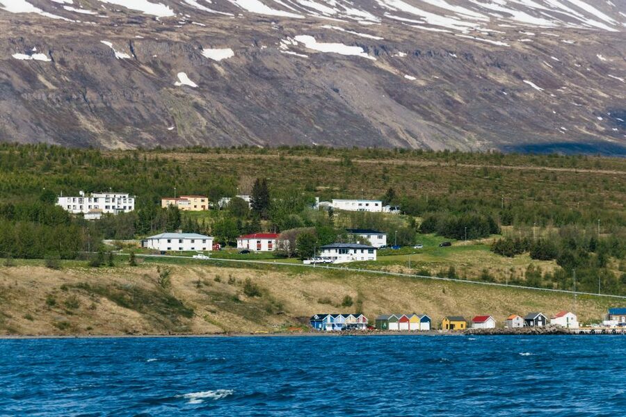 Akureyri: 3-Hour Classic Whale Watching Tour by Ship - How the seasons change the experience