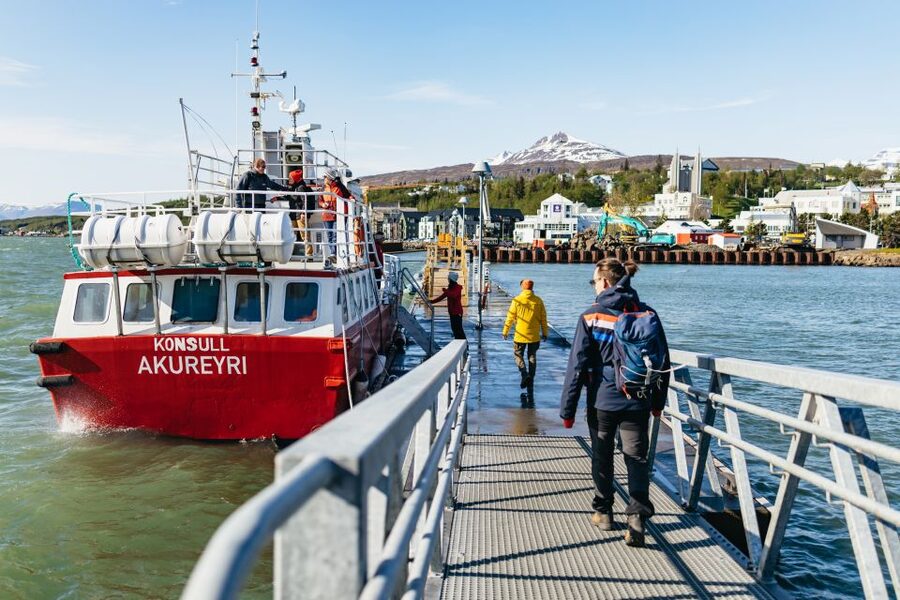 Akureyri: 3-Hour Classic Whale Watching Tour by Ship - Is $108 a fair price?