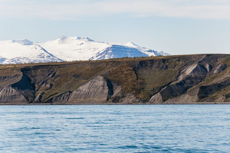 Akureyri: 3-Hour Classic Whale Watching Tour by Ship - Who should book this Akureyri whale tour?