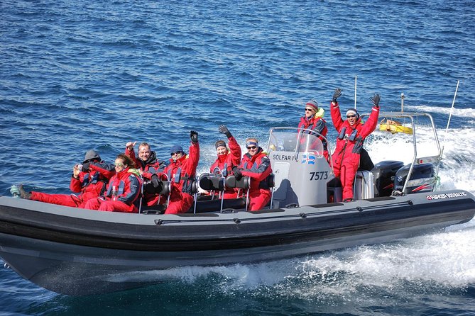Akureyri Express Whale Watching by RIB boat - Price, value, and the free return option