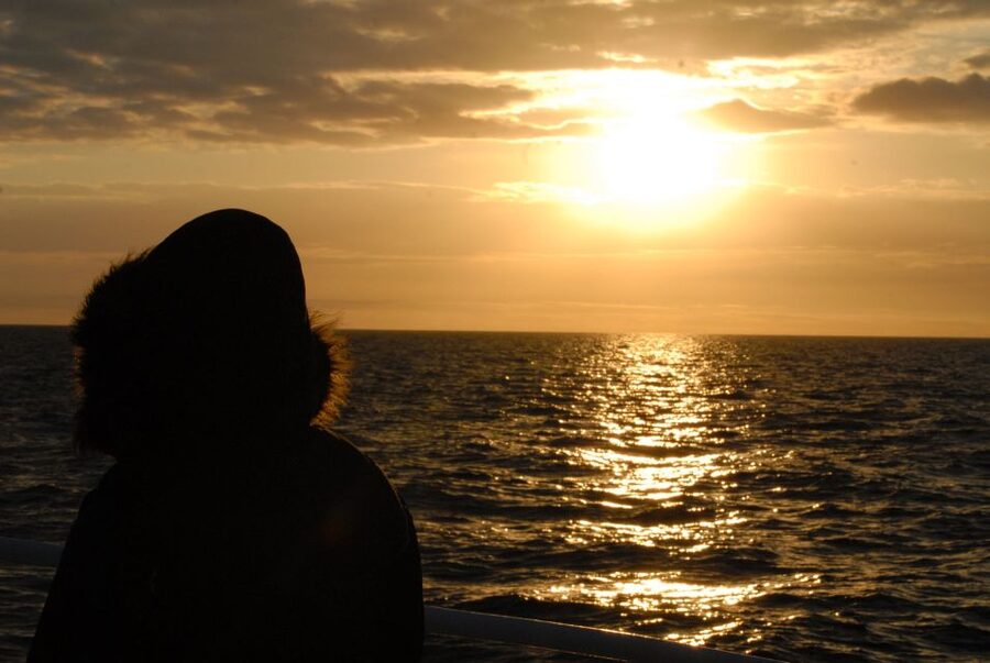 Akureyri: Whale Watching in the Midnight Sun - Guide commentary and sound quality