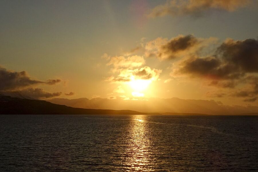 Akureyri: Whale Watching in the Midnight Sun - Value at $101 per person