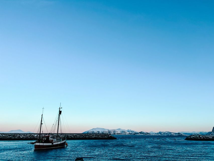 Ålesund: Ålesund and Surrounding Islands Audio Guide Tour - What this Ålesund island tour is really like