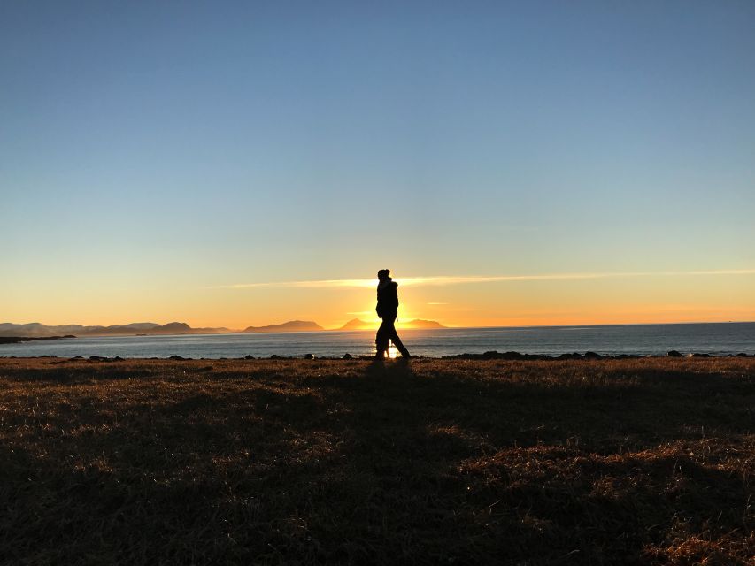 Ålesund: Ålesund and Surrounding Islands Audio Guide Tour - How useful is the audio guide?